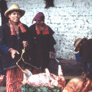 Todos Santos - Pig Roast