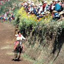 Todos Santos - Horse Race